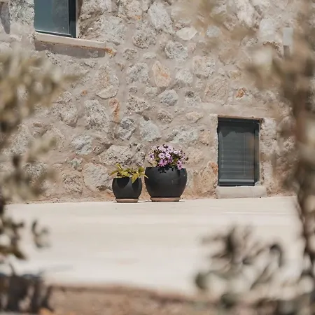 Naxos Privilege *