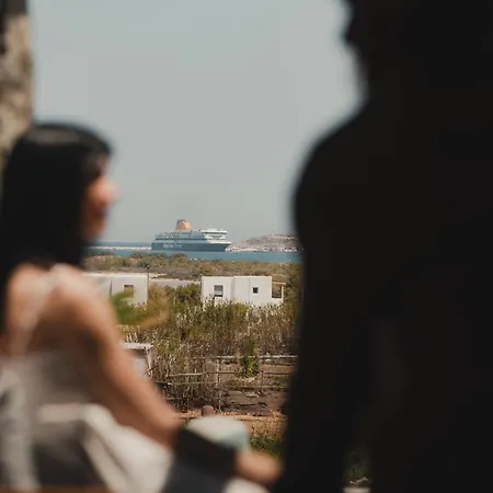 Naxos Privilege *