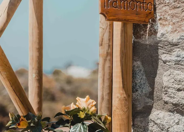 Willa Naxos Privilege *