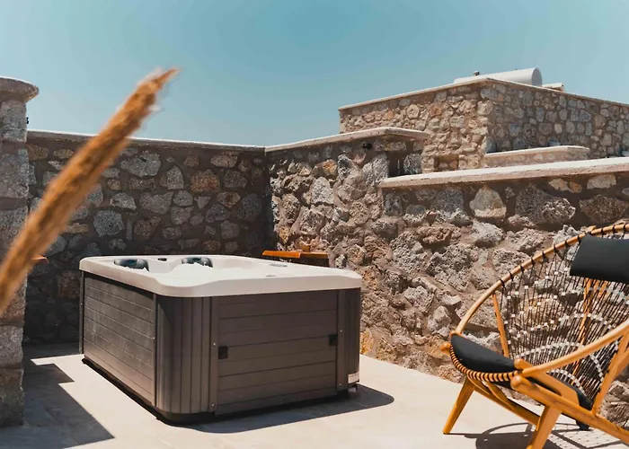 Willa Naxos Privilege *